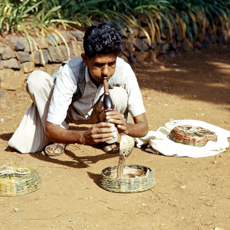 bombay.jpg